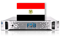 埃及高防服务器